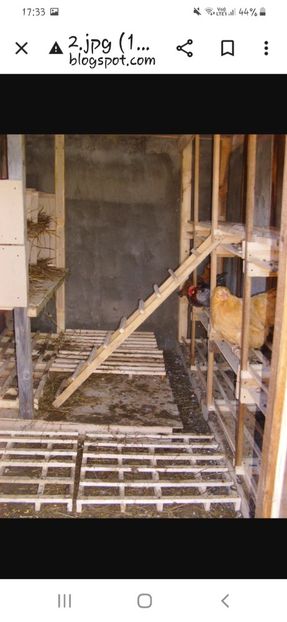 Interior - Caut și un meseriaș care știe să construiască adăpost pentru păsări găini și cușcă pentru câinecurte