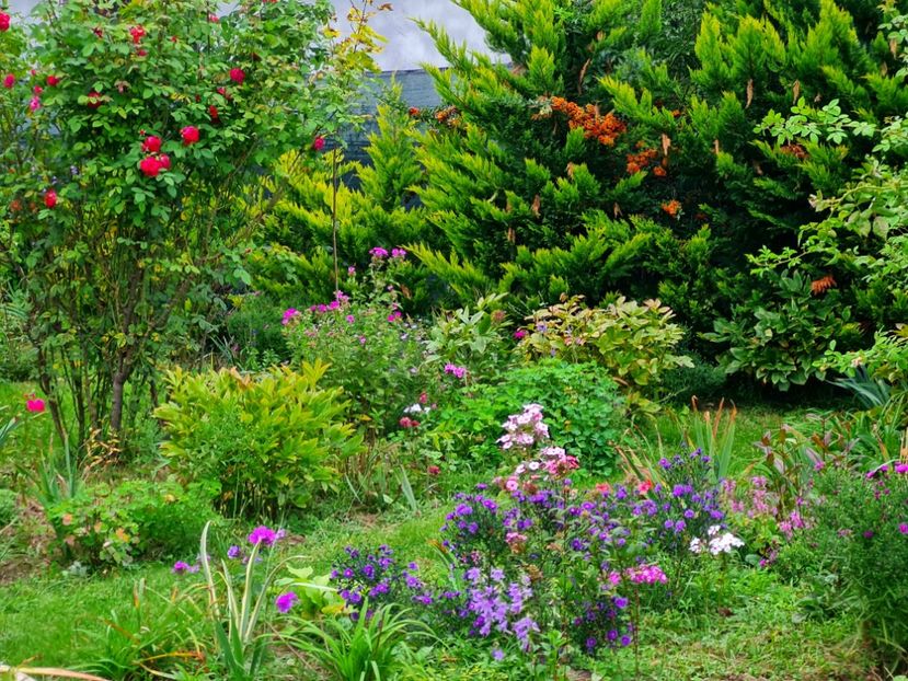  - 2022_Septembrie_Octombrie