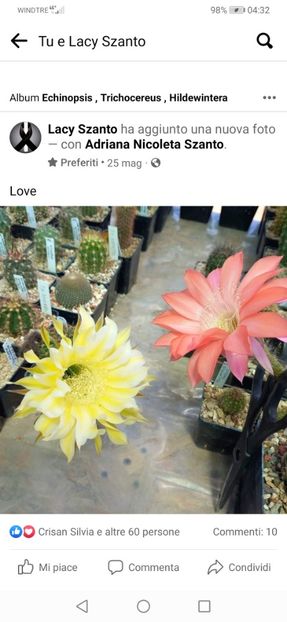 Screenshot_20220812_043256_com.facebook.katana - Echinopsis Trichocereus Lobivia