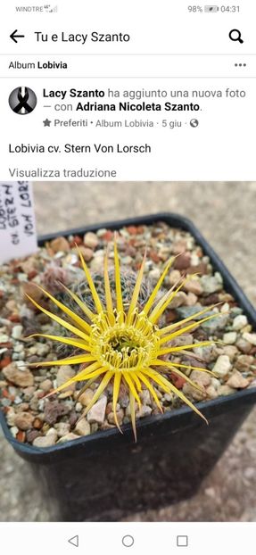 Screenshot_20220812_043145_com.facebook.katana - Echinopsis Trichocereus Lobivia