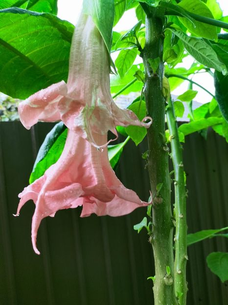 IMG20220917103653 - Septembrie 2022