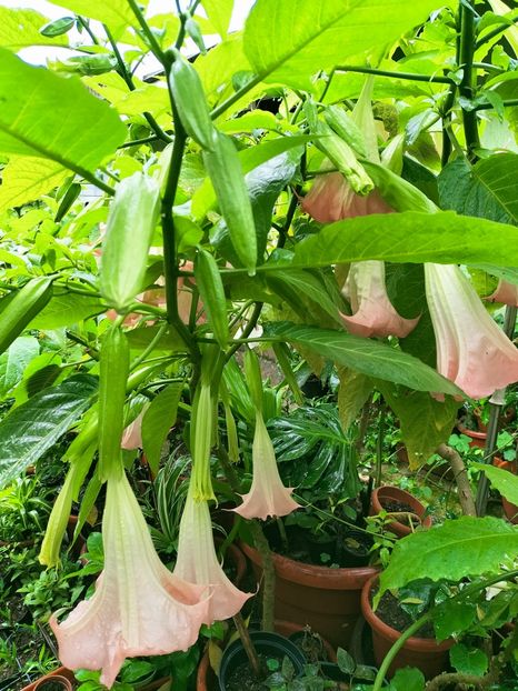 IMG20220917103506 - Septembrie 2022