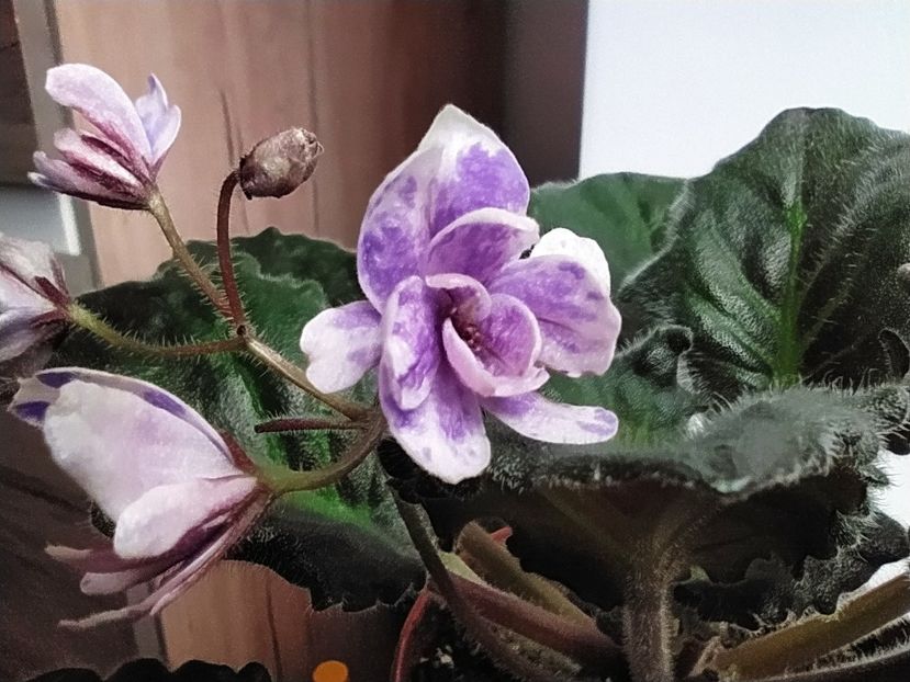 17 septembrie 2022 - KZ Dobrynia