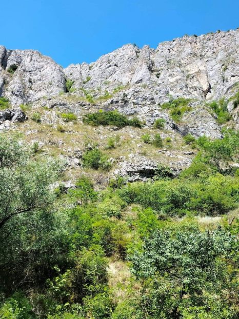 received_495984779204367 - Concediu cu tătă 2022