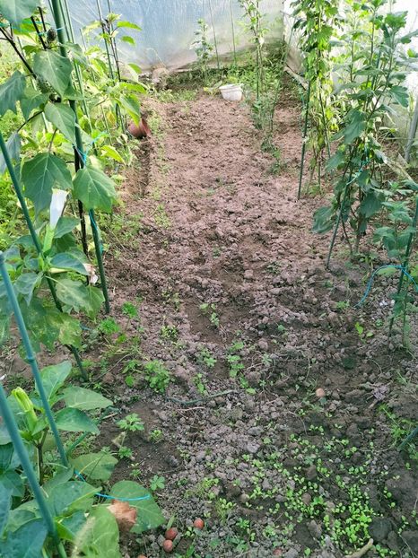 IMG20220918182213 - Septembrie 2022 vol 2