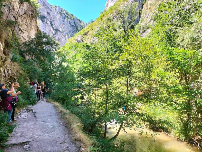 received_450587577040844 - Concediu cu tătă 2022