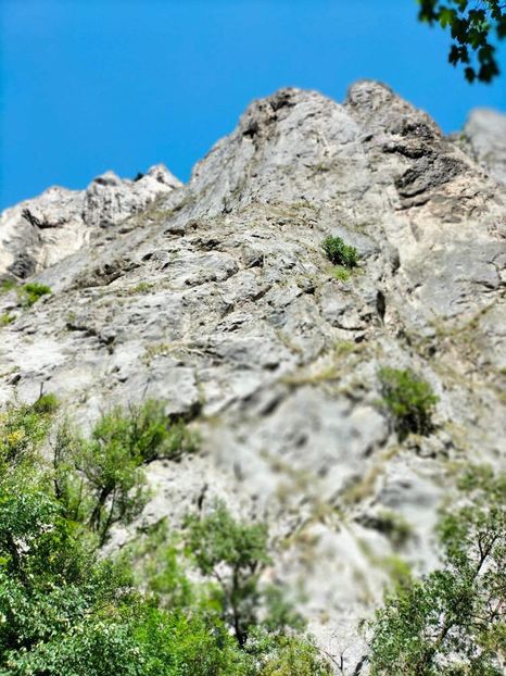 received_865711534327913 - Concediu cu tătă 2022