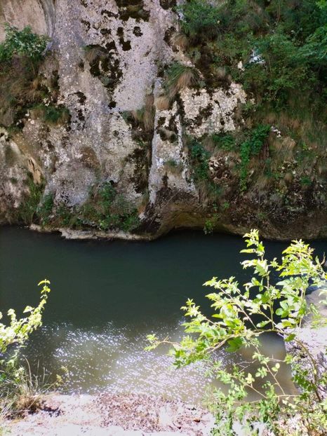 received_1260801721440569 - Concediu cu tătă 2022