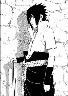 10285197_MNJMVROCQ[1] - sasuke