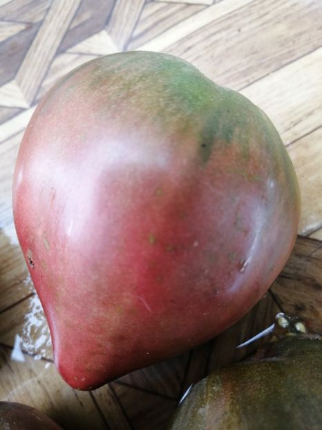  - SEMINTE ROSII - T 925 DWARF PURPLE HEART