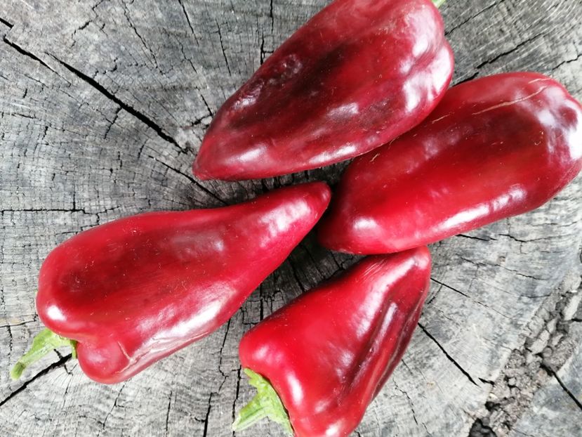  - SEMINTE ARDEI - A 71 LILAC BELL