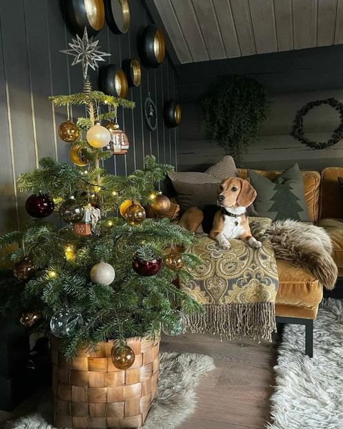  - Christmas