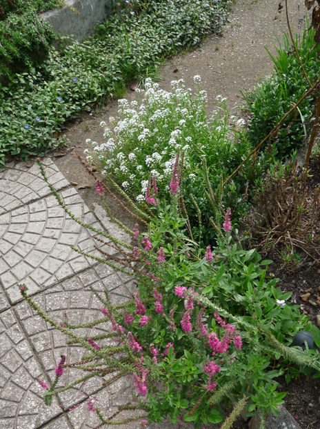  - 2022 - 03 - Toamna