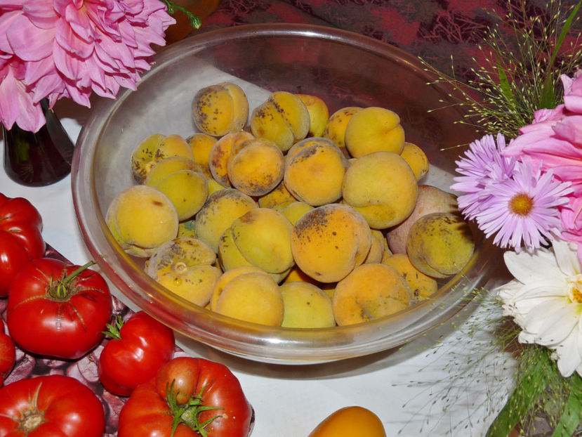  - 2022 - 03 - Toamna