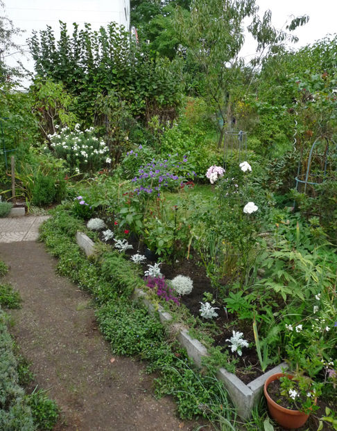  - 2022 - 03 - Toamna