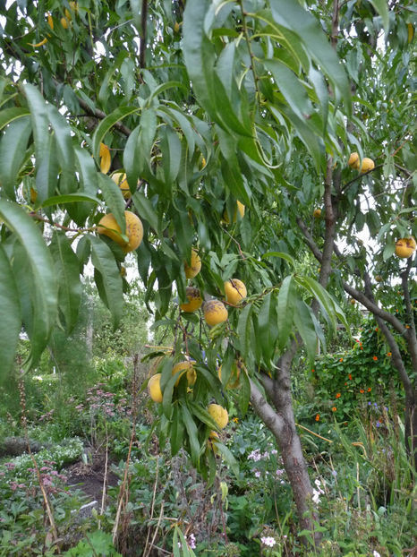  - 2022 - 03 - Toamna