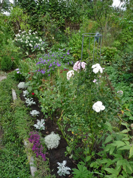  - 2022 - 03 - Toamna