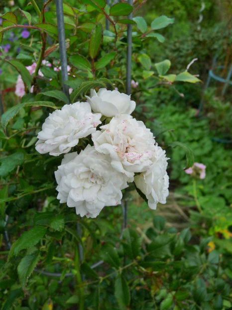  - 2022 - 03 - Toamna