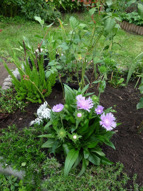  - 2022 - 03 - Toamna