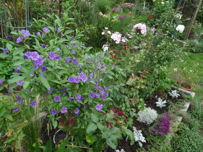  - 2022 - 03 - Toamna