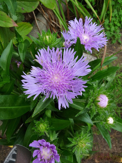  - 2022 - 03 - Toamna