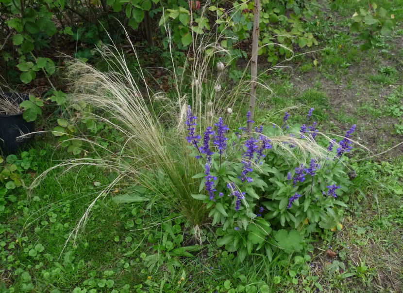  - 2022 - 03 - Toamna