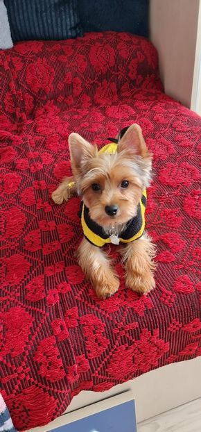 IMG-20220920-WA0016 - Nepoata Nora