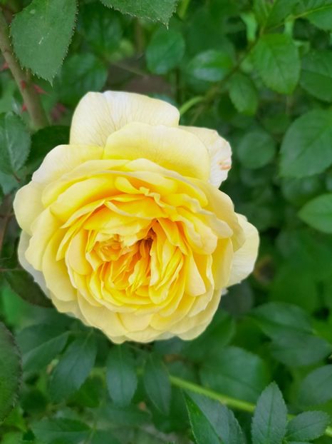 IMG20220921140449 - Septembrie 2022 vol 2