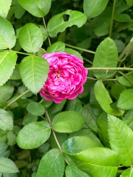 IMG20220921140434 - Septembrie 2022 vol 2