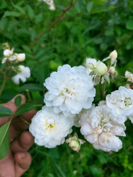 IMG20220921140414 - Septembrie 2022 vol 2