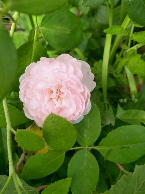 IMG20220921140211 - Septembrie 2022 vol 2