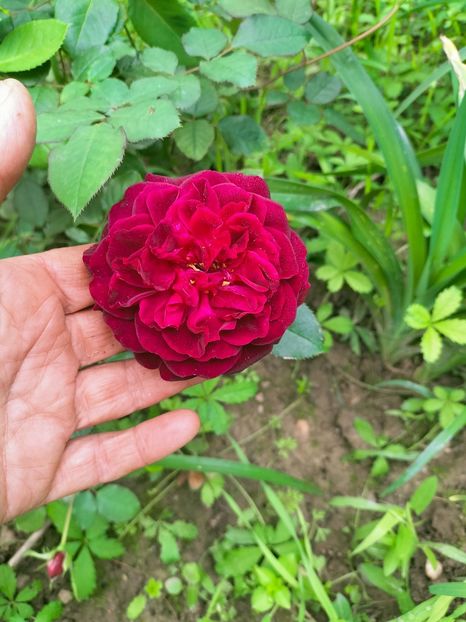 IMG20220921140021 - Septembrie 2022 vol 2