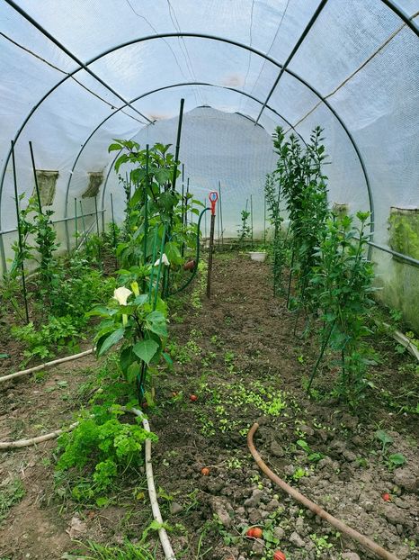 IMG20220921135400 - Septembrie 2022 vol 2