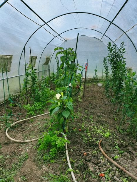 IMG20220921135357 - Septembrie 2022 vol 2