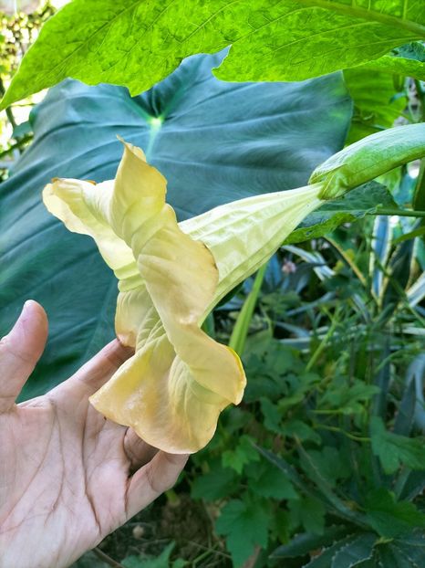 IMG20220919082154 - Septembrie 2022 vol 2