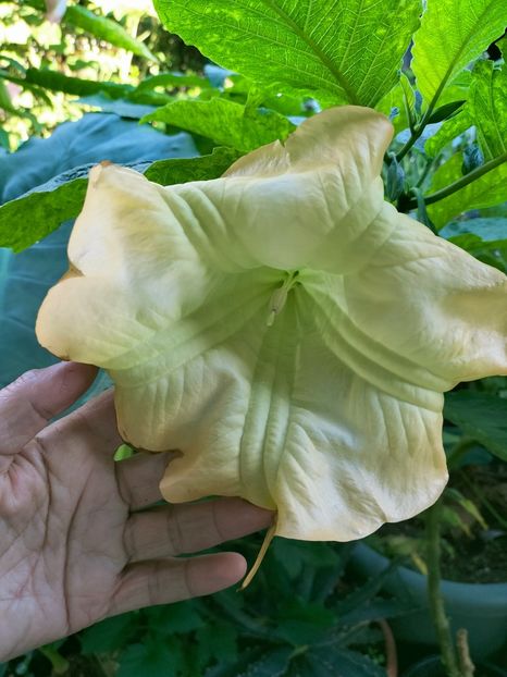 IMG20220919082150 - Septembrie 2022 vol 2