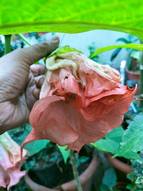 IMG20220918183814 - Septembrie 2022 vol 2