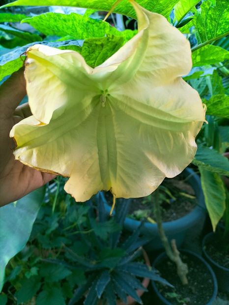 IMG20220918183703 - Septembrie 2022 vol 2