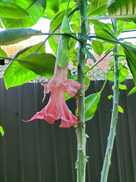 IMG20220918183623 - Septembrie 2022 vol 2