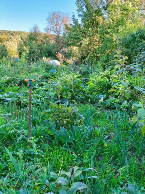 IMG20220918183425 - Septembrie 2022 vol 2