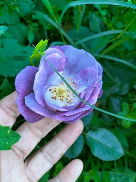 IMG20220918183344 - Septembrie 2022 vol 2