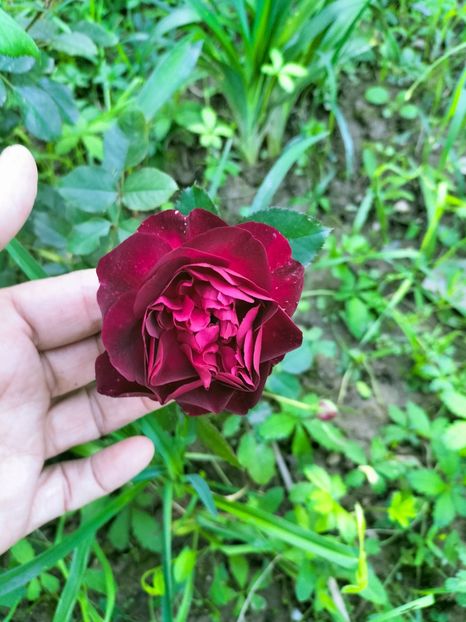 IMG20220918182850 - Septembrie 2022 vol 2