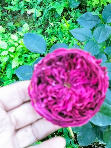 IMG20220918182635 - Septembrie 2022 vol 2