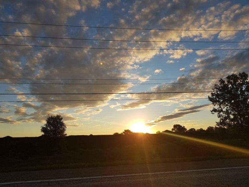  - De prin lume adunate