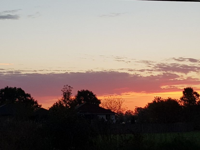  - De prin lume adunate