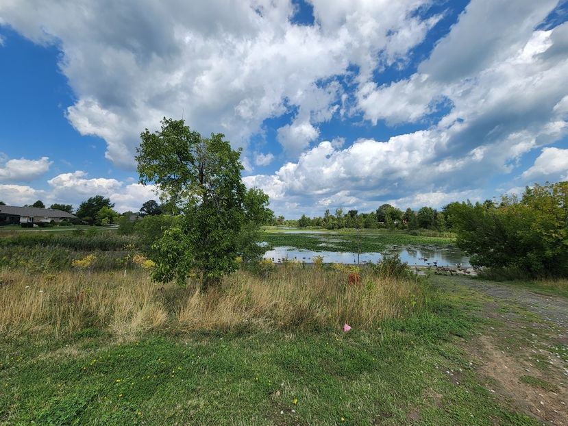  - De prin lume adunate