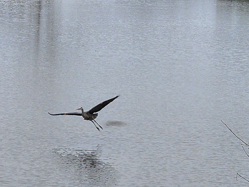  - De prin lume adunate