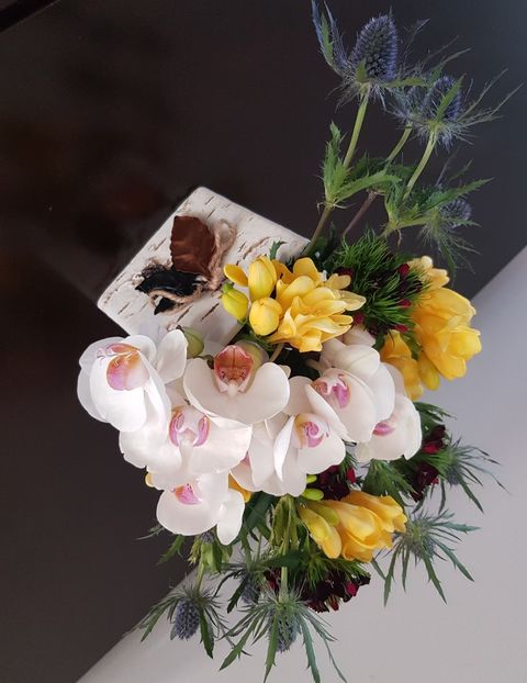  - De prin lume adunate