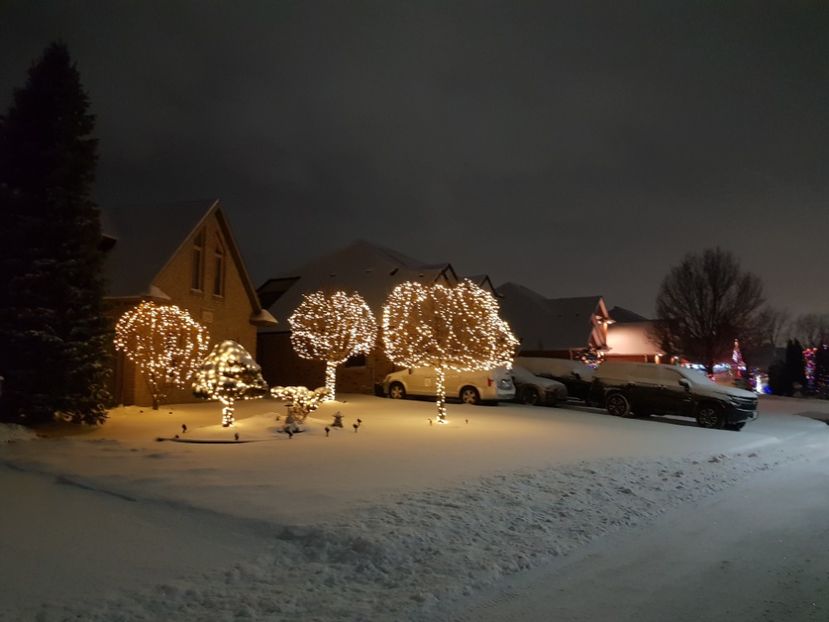  - De prin lume adunate