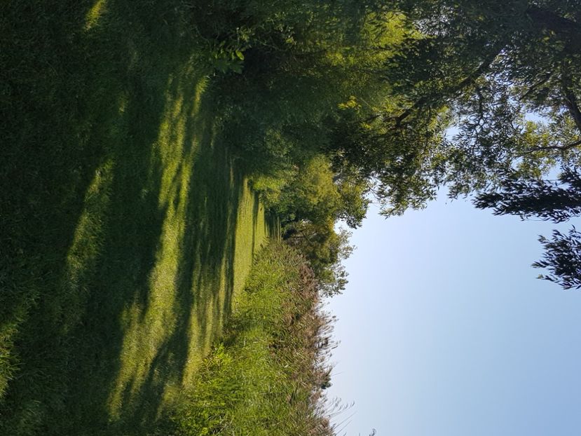  - De prin lume adunate